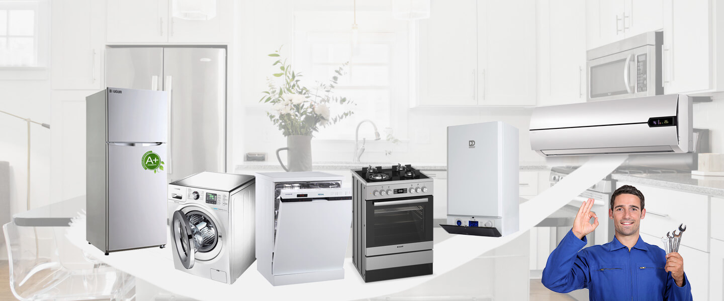 Sasalı Electrolux Servisi
